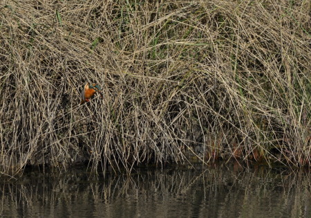 b0358690_16421614.jpg