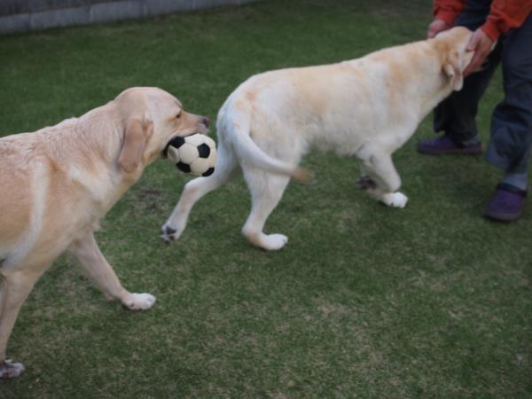 c0028792_23081498.jpg