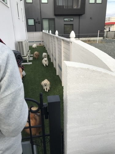 c0332892_14434490.jpeg