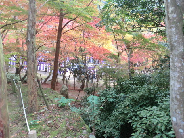 d0212993_12062700.jpg