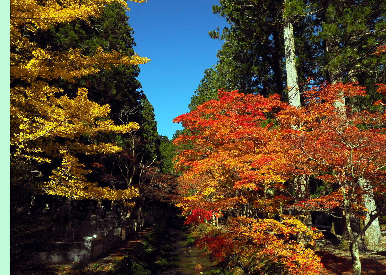 高野山の紅葉_e0254493_15203883.jpg