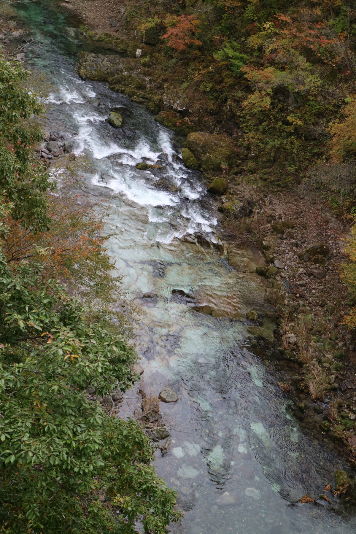 f0075595_05495285.jpg