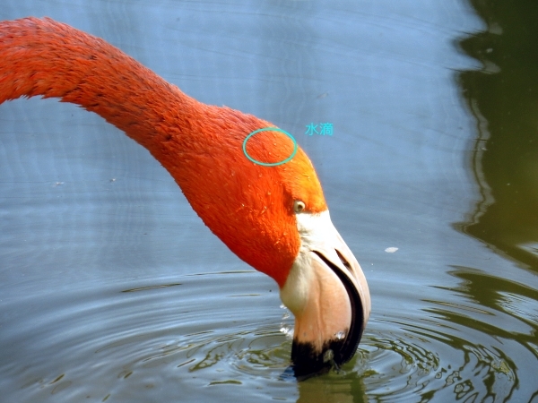 f0033598_19225922.jpg