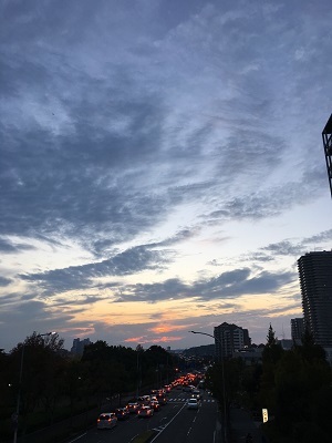 f0372998_23011828.jpg