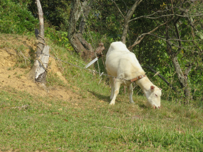 c0125501_23463469.jpg