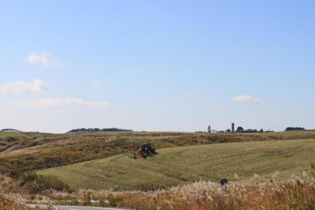 c0368903_18185904.jpg