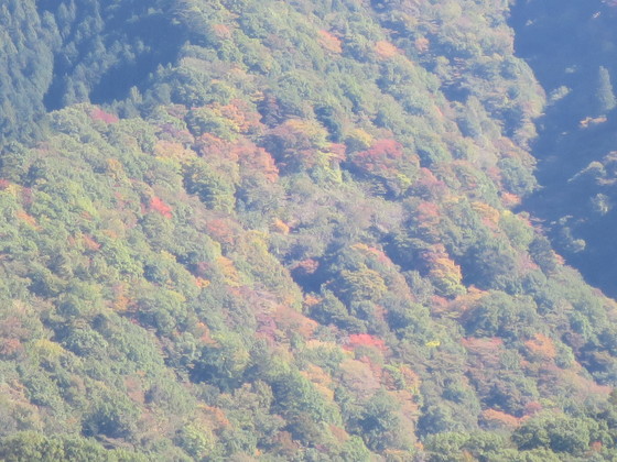 c0212604_715082.jpg