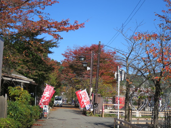 ふれんどりー宮ケ瀬湖 （興味深い宮ケ瀬のいろいろ）_c0212604_751387.jpg