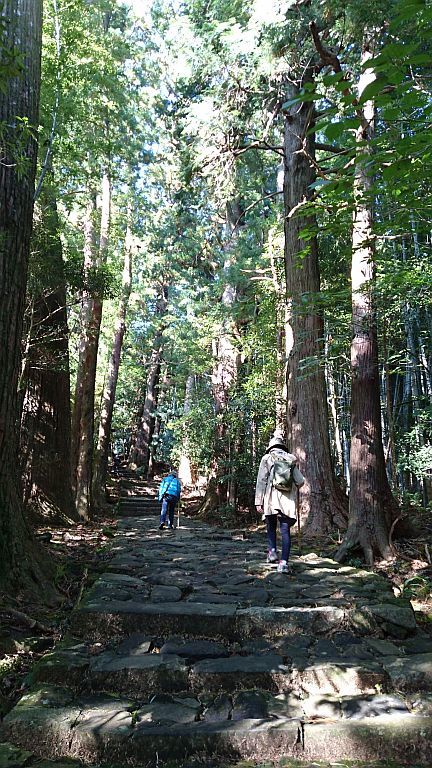 b0172805_20110443.jpg