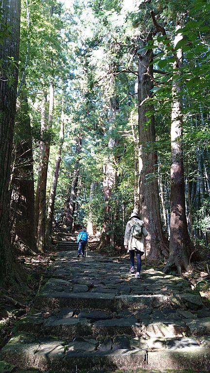 熊野古道の旅　その１・熊野三山_b0172805_20110443.jpg