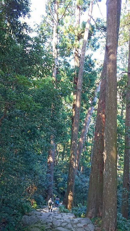 熊野古道の旅　その１・熊野三山_b0172805_21080153.jpg