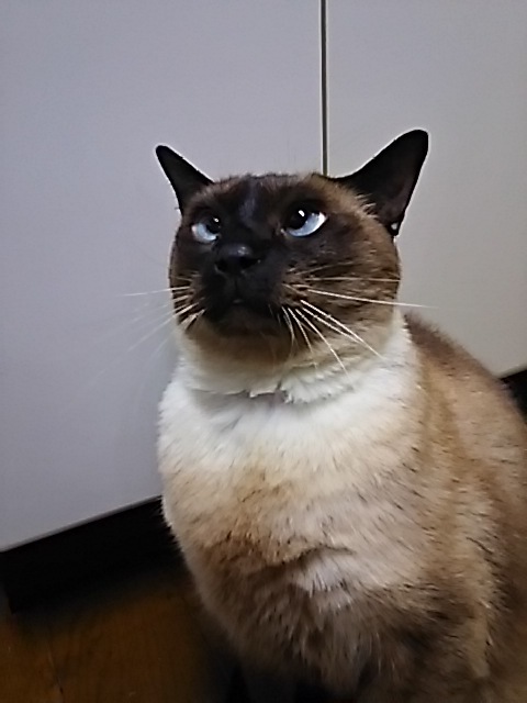 f0316507_15275385.jpg