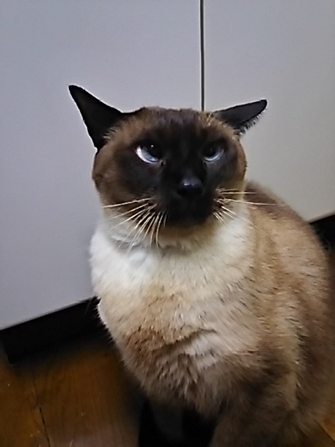 f0316507_15280604.jpg