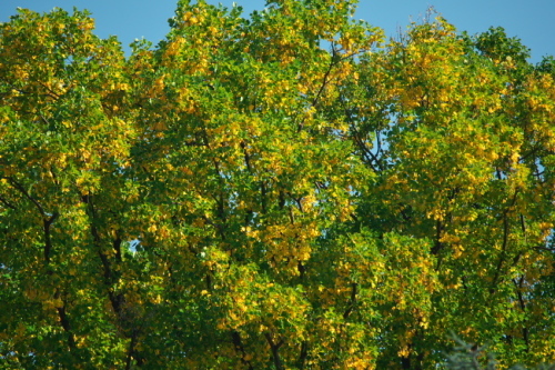a0263109_07590868.jpg