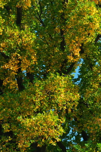 a0263109_08004311.jpg