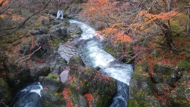 b0035611_20512744.jpg
