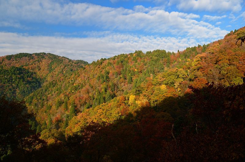 f0032011_17235538.jpg