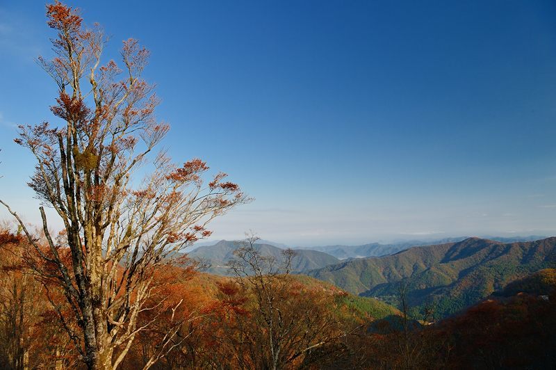 f0032011_17235628.jpg