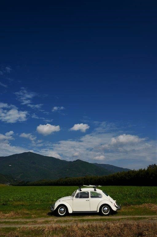 f0365212_06504694.jpg