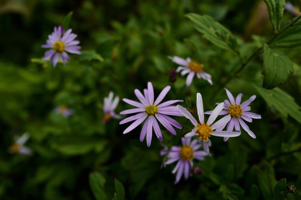 f0365212_06515710.jpg