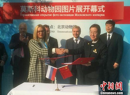 a0151913_15441791.jpg