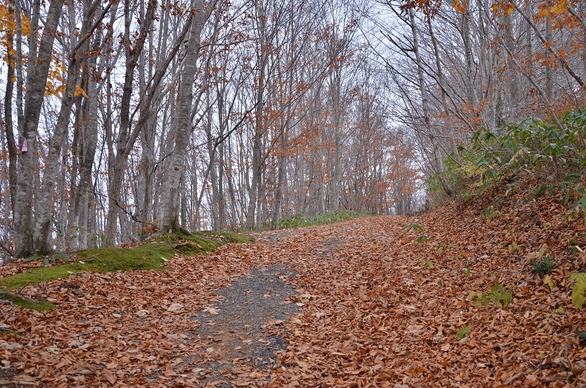 e0349817_20174869.jpg