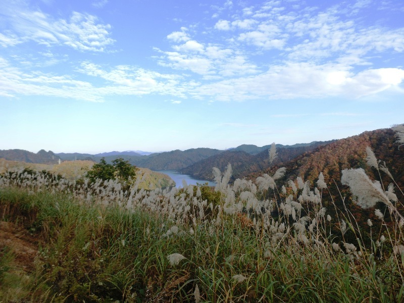 d0221319_00342447.jpg