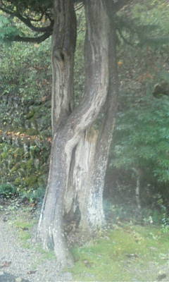 c0074721_14412225.jpg