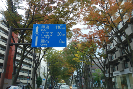 f0097523_21460990.jpg