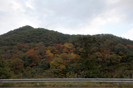 f0097523_21465377.jpg