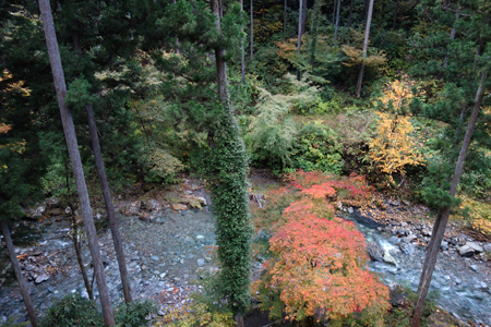 f0097523_21473168.jpg