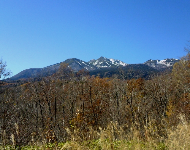 b0069126_0443528.jpg