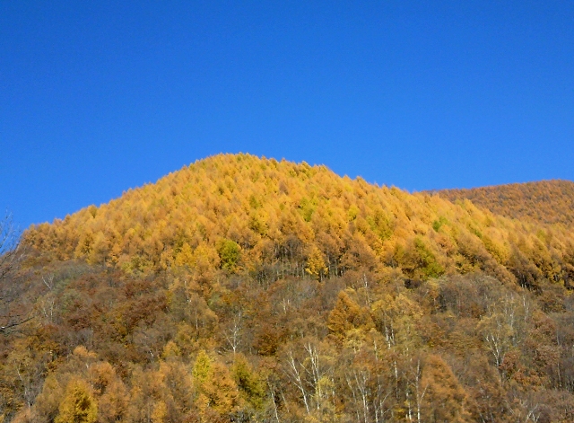 b0069126_0451270.jpg