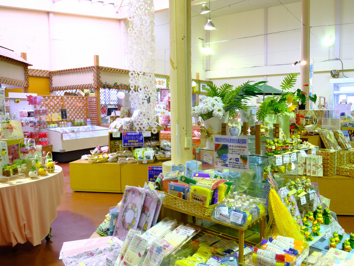 「館山で遊ぶ!いちじく狩り、館山ファミリーパーク、だいぼの海鮮丼」_a0000029_22395470.jpg