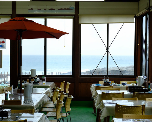 「館山で遊ぶ!いちじく狩り、館山ファミリーパーク、だいぼの海鮮丼」_a0000029_23143635.jpg
