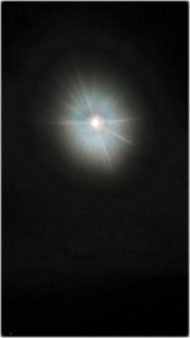 c0107829_09310937.gif