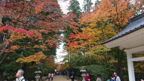b0025633_21360671.jpg