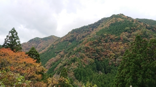 b0025633_21360908.jpg