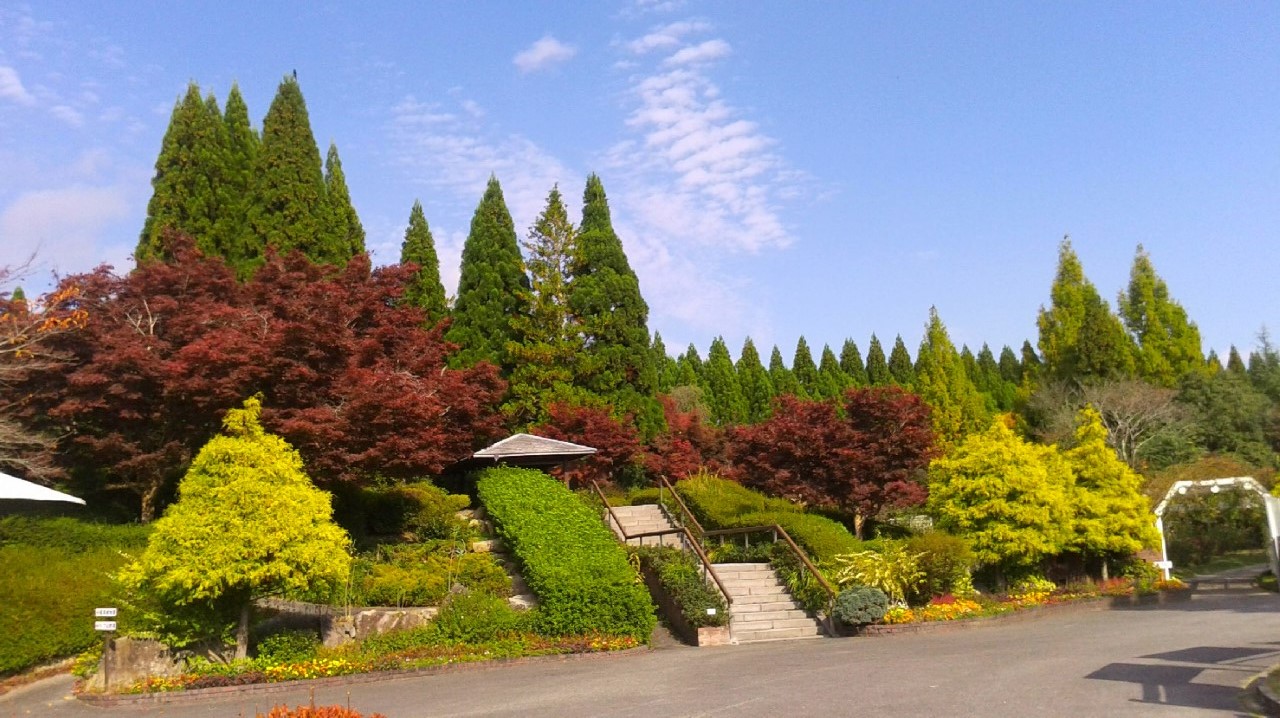 b0164533_20253799.jpg