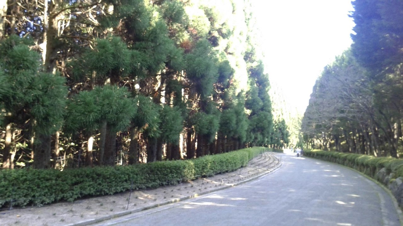 b0164533_20275655.jpg