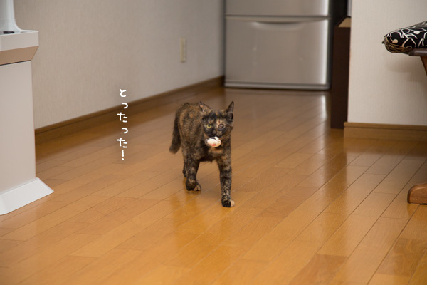エンドレスねずみ投げて遊び_d0355333_17375710.jpg