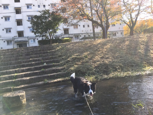 c0343734_03595596.jpg