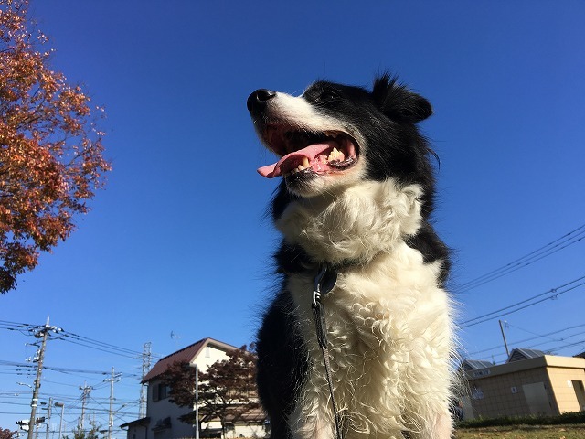 c0343734_04024462.jpg