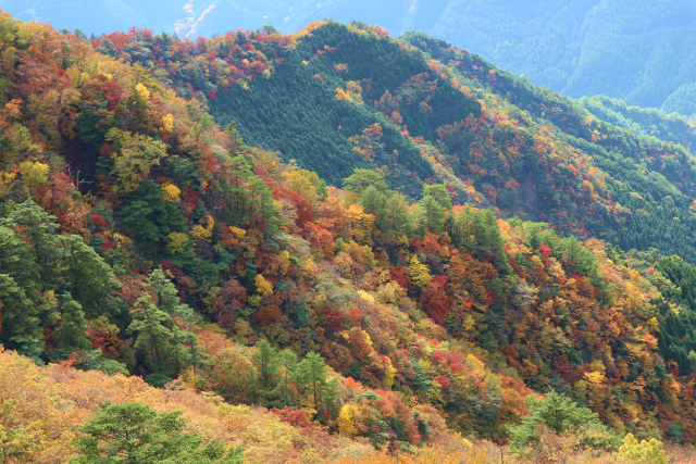 大障子岩＆池之原・宮原分岐点縦走路の紅葉_e0272335_994427.jpg