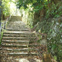 c0077338_17491165.jpg