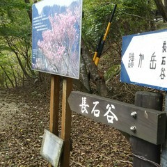 c0077338_17491865.jpg