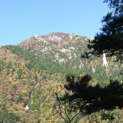 c0077338_17493584.jpg