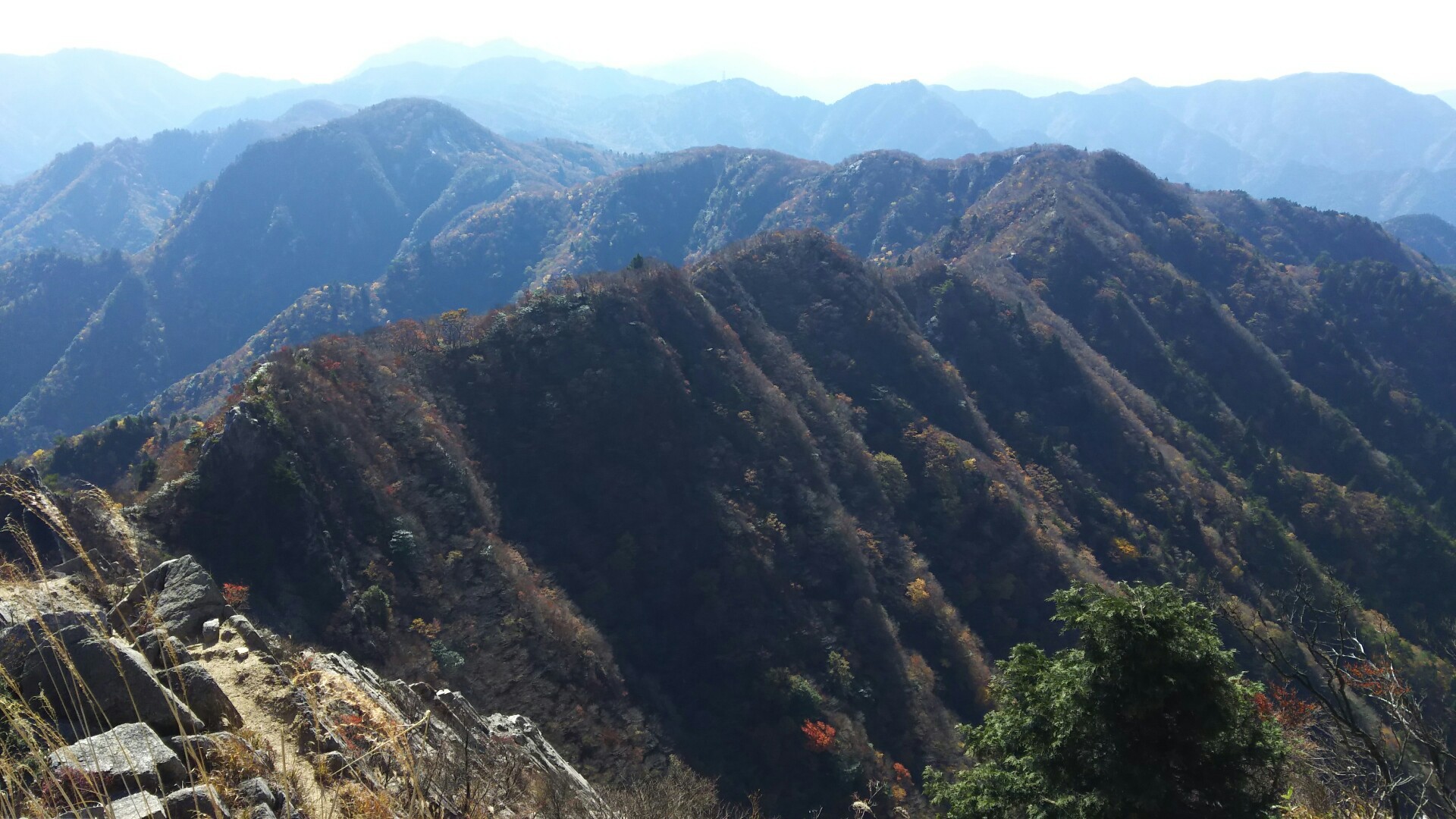 c0077338_17501939.jpg