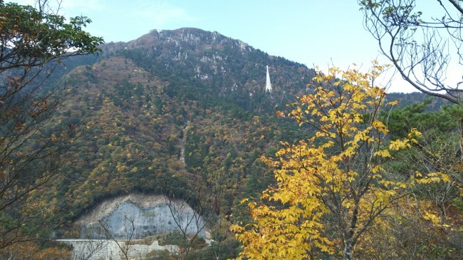c0077338_17502899.jpg