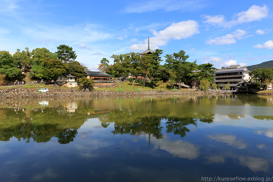 奈良　般若寺のコスモスとか奈良の鹿とか・・_b0325840_23013758.jpg